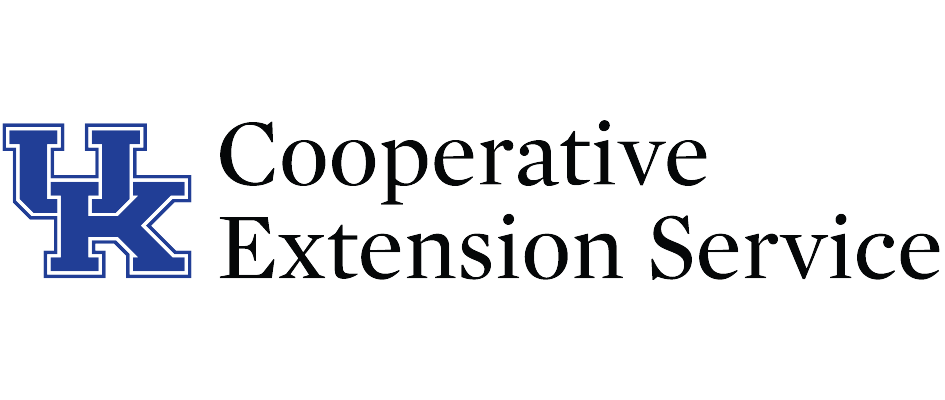 Extension Logo